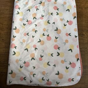 Cloud Island Plush Cozy Velboa Baby Blanket Peach white coral pink 30x40